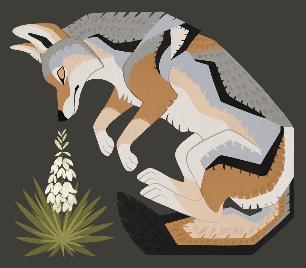 Coyote & Yucca